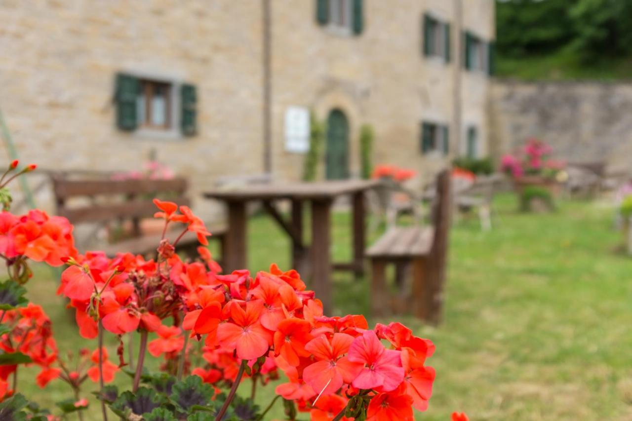 Agriturismo L'Antico Frutto Premilcuore Exterior photo